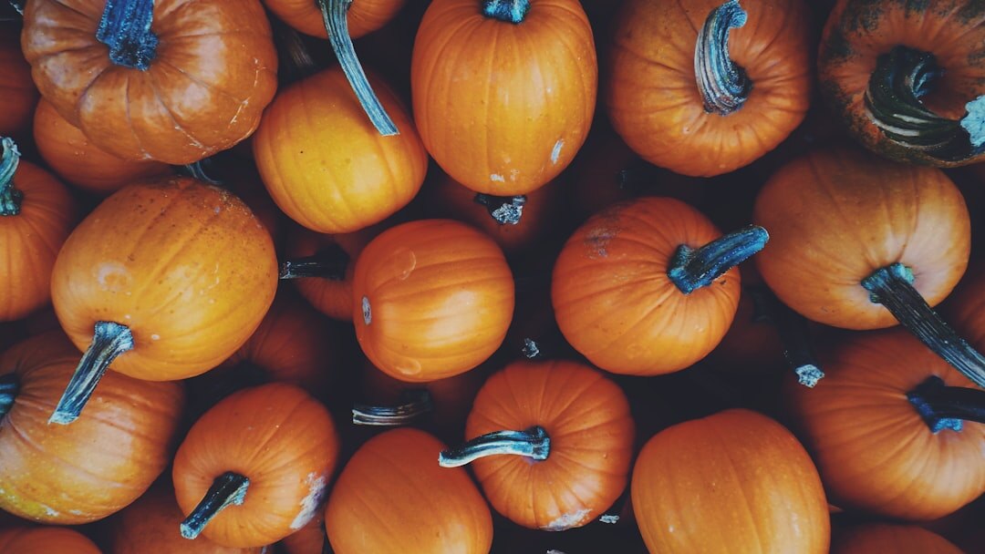 autumn pumpkin harvest
